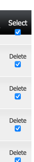 Auto-generated description: Several checkboxes next to the words Select and Delete are marked with blue ticks.